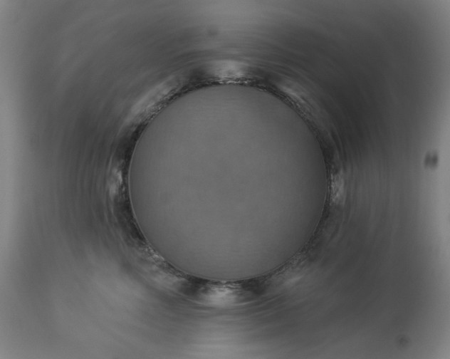 X0000113230618200909241524