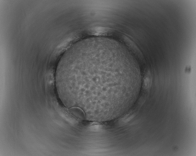 X0000113230620200909241524