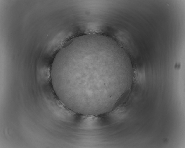 X0000113230621200909241524