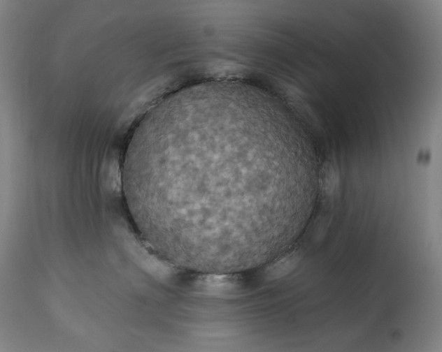 X0000113230622200909241524