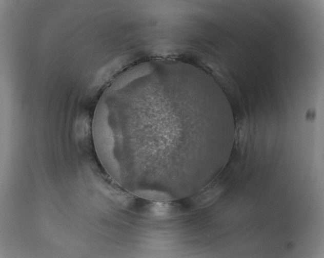 X0000113230623200909241524