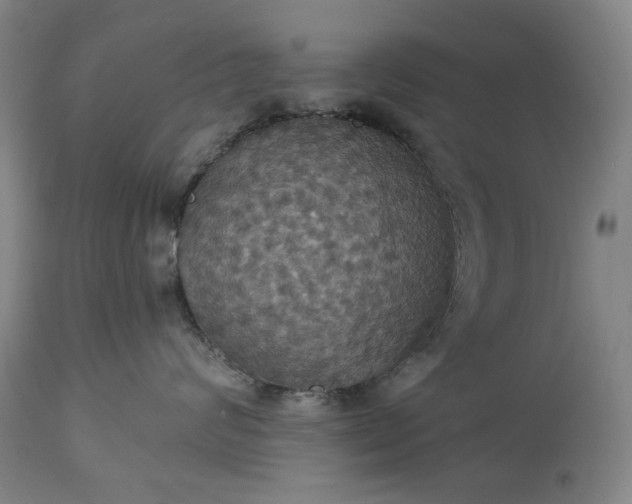 X0000113230624200909241524