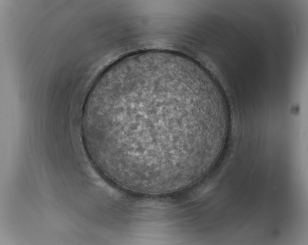 X0000113230625200909241523