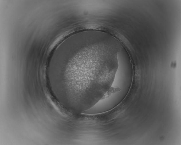 X0000113230626200909241523