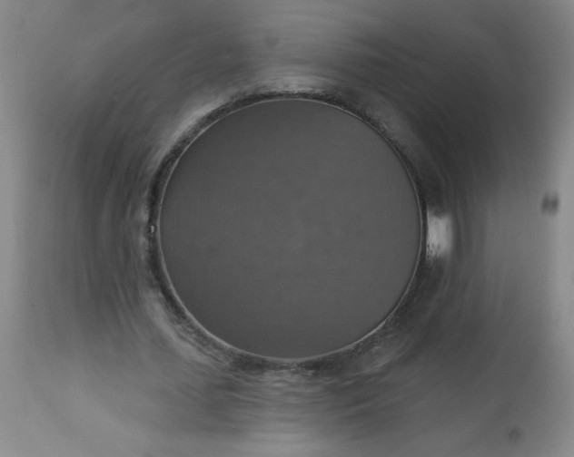 X0000113230627200909241523