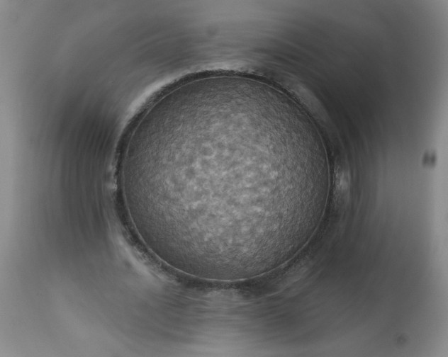 X0000113230628200909241523