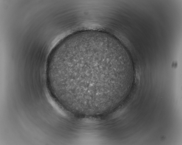 X0000113230630200909241523