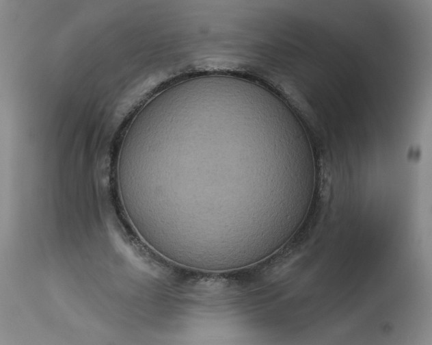 X0000113230631200909241523