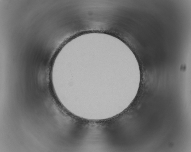 X0000113230632200909241523