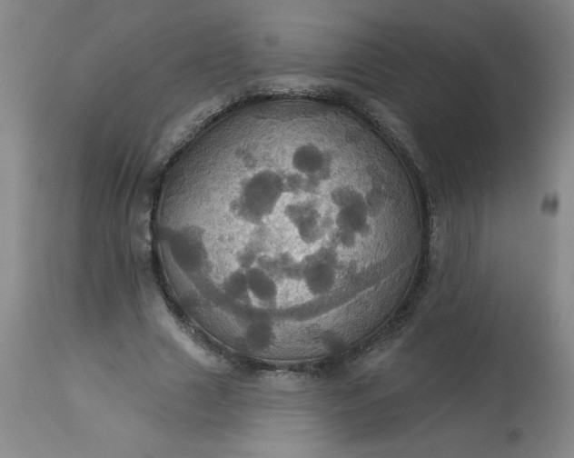 X0000113230633200909241523