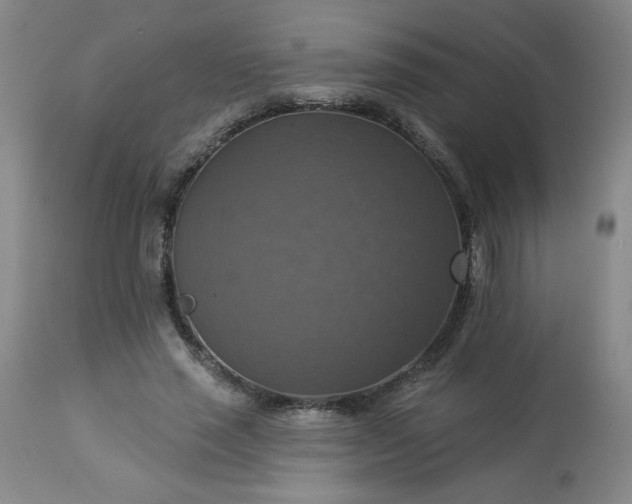 X0000113230637200909241524