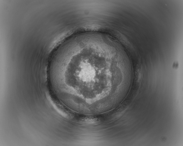 X0000113230638200909241524