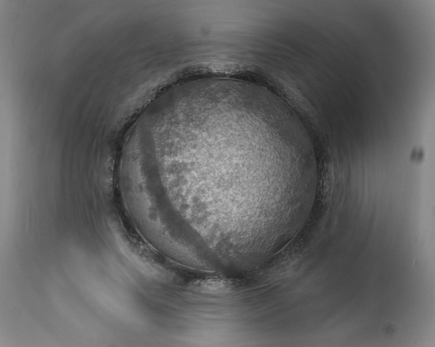 X0000113230639200909241524