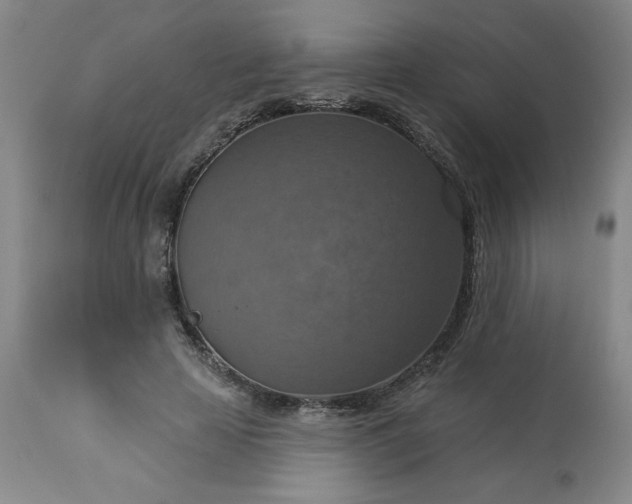 X0000113230641200909241524