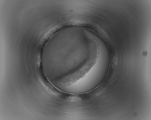 X0000113230644200909241524