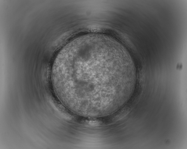 X0000113230645200909241524