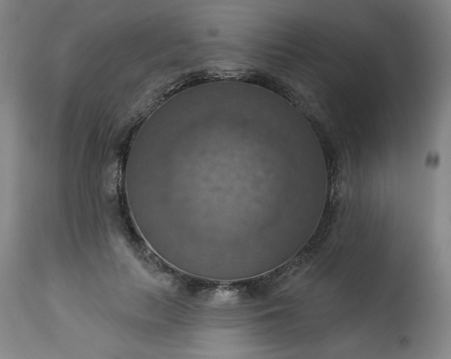 X0000113230647200909241524