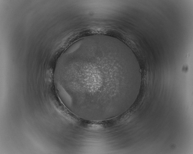 X0000113230649200909241524