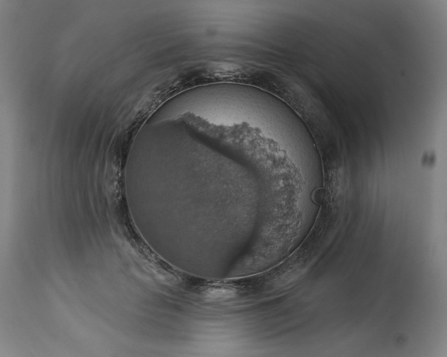 X0000113230653200909241524