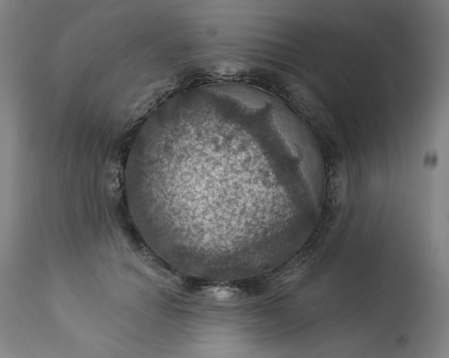 X0000113230654200909241524