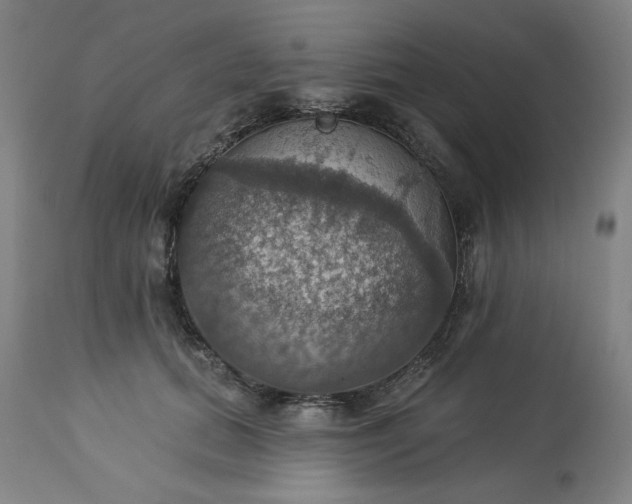 X0000113230655200909241524