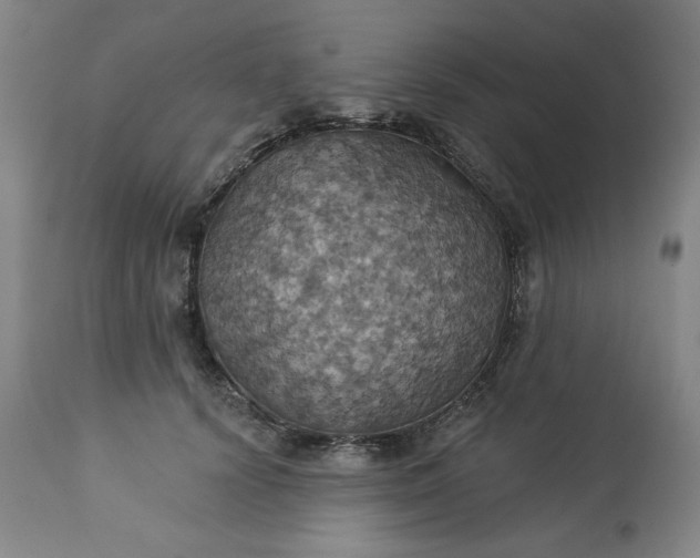 X0000113230656200909241524