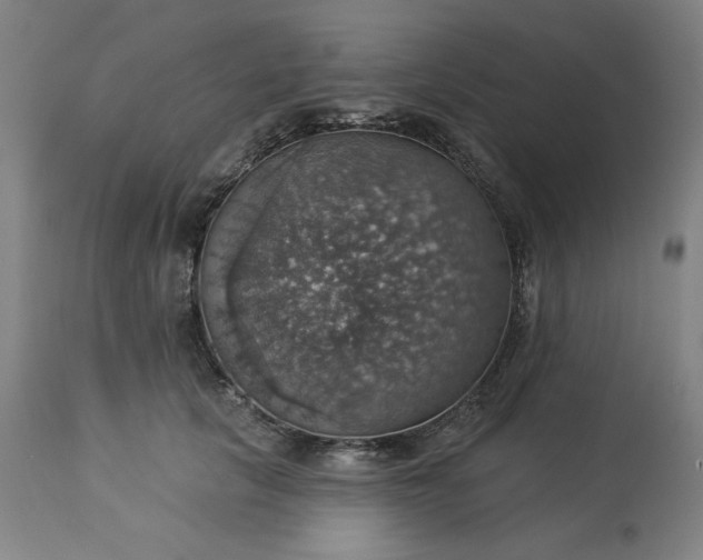 X0000113230657200909241524