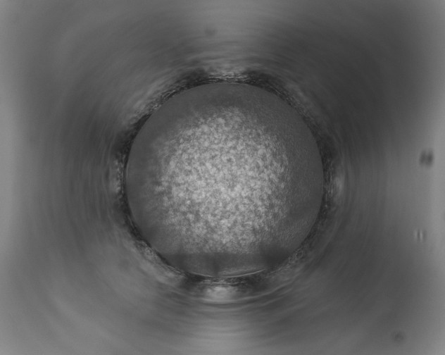 X0000113230658200909241524