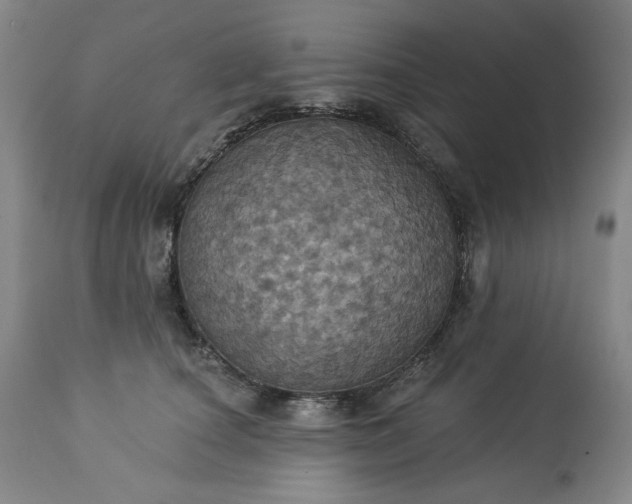 X0000113230660200909241524