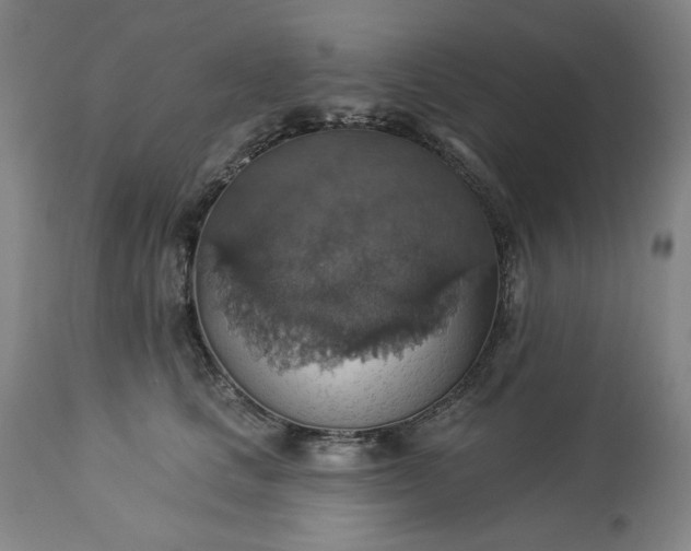 X0000113230661200909241524