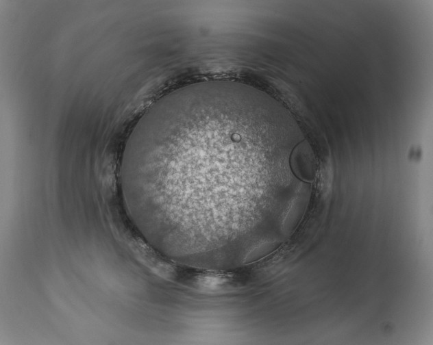 X0000113230662200909241524