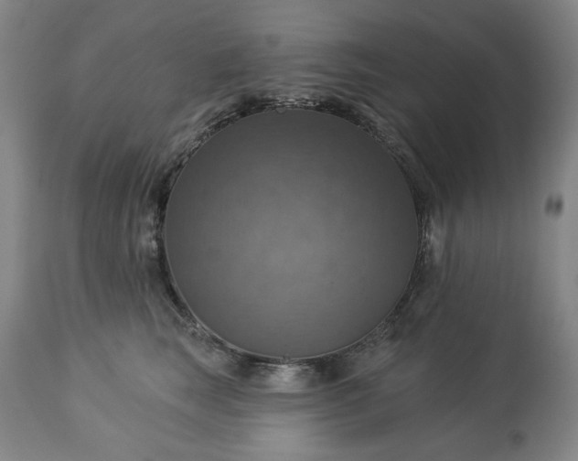 X0000113230663200909241524