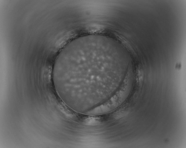 X0000113230664200909241524