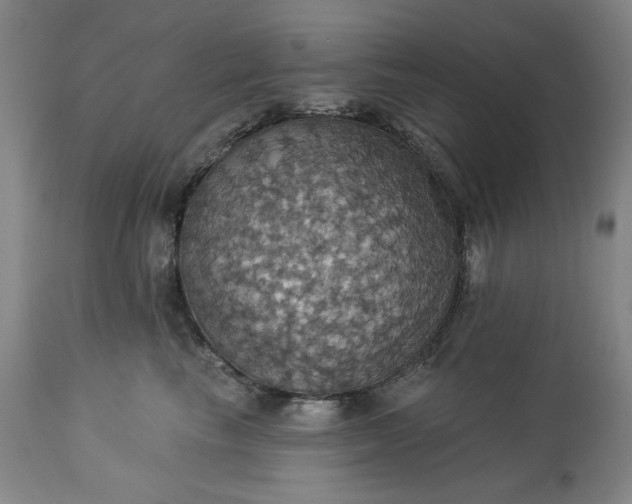 X0000113230665200909241524