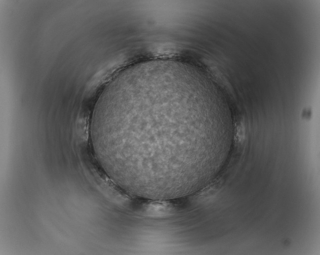 X0000113230666200909241524