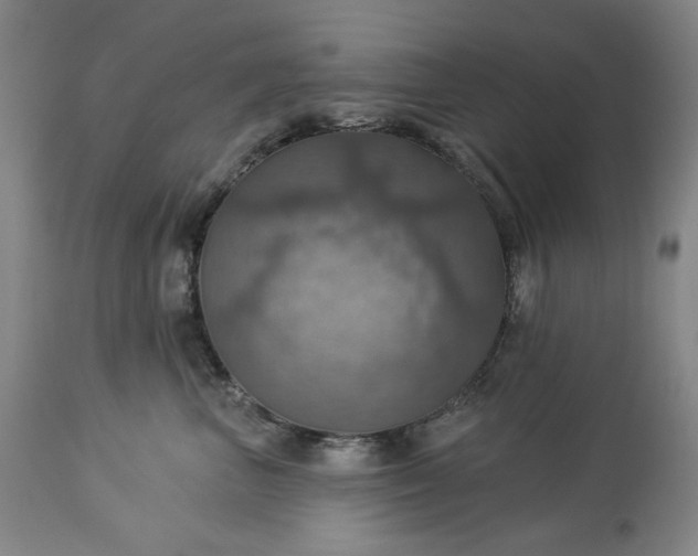 X0000113230667200909241524