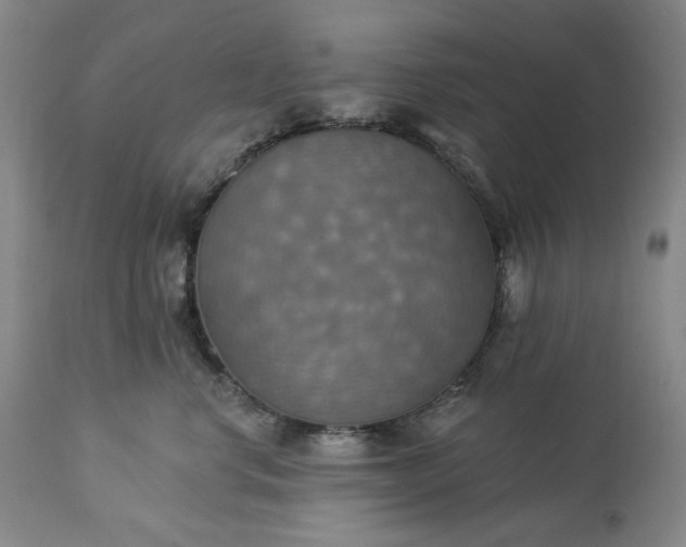 X0000113230668200909241524