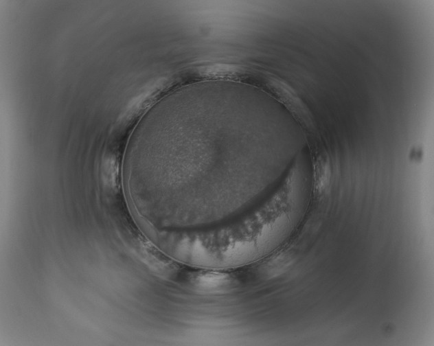 X0000113230669200909241524