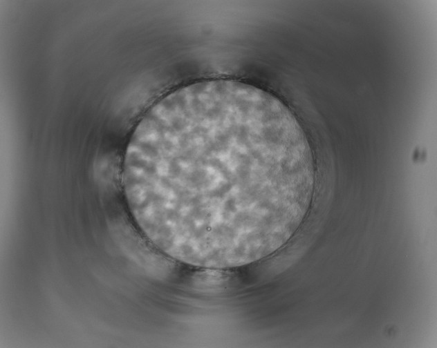 X0000113230672200909241524