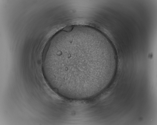 X0000113230673200909241523