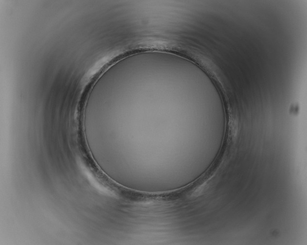 X0000113230674200909241523