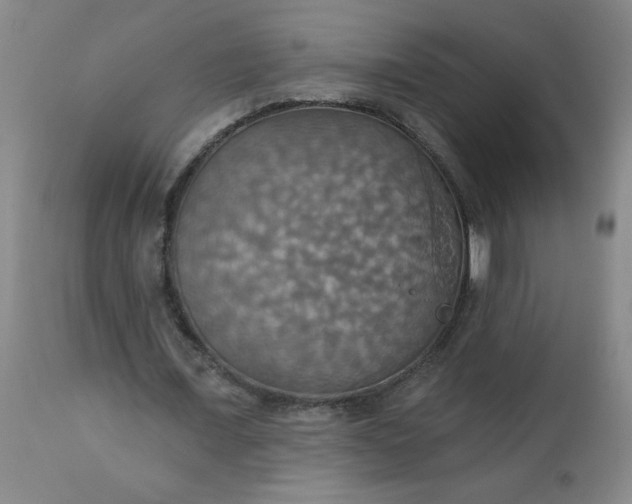 X0000113230675200909241523