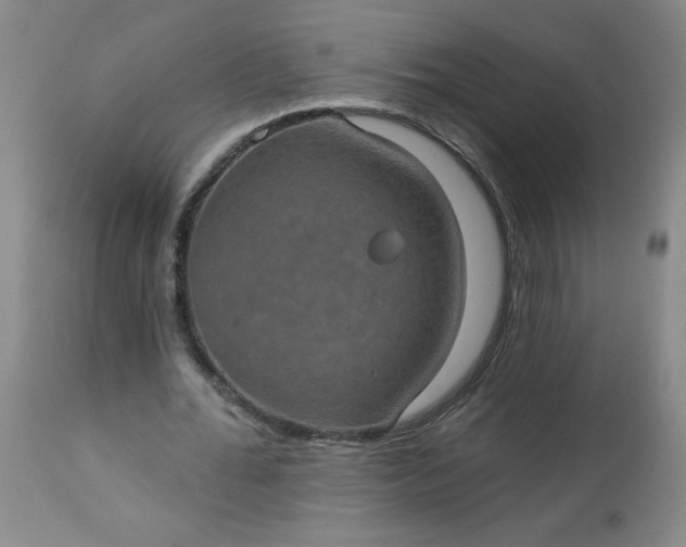 X0000113230676200909241523