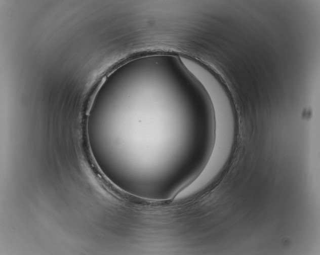 X0000113230677200909241523