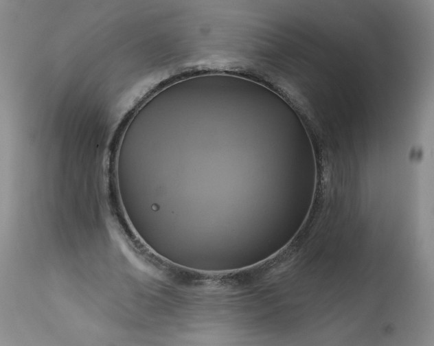 X0000113230678200909241523