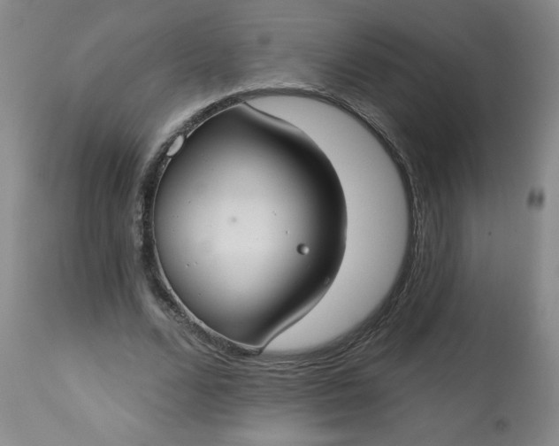 X0000113230680200909241523