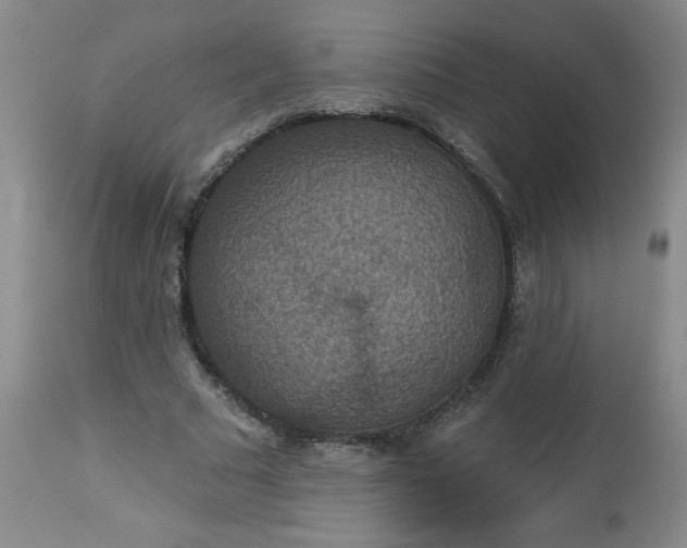 X0000113230681200909241523