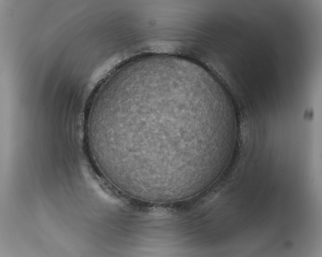 X0000113230682200909241523