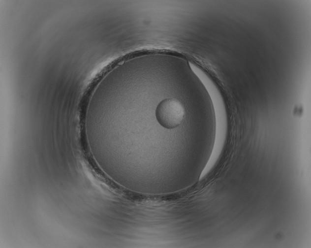 X0000113230684200909241523