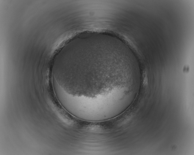 X0000113230685200909241523